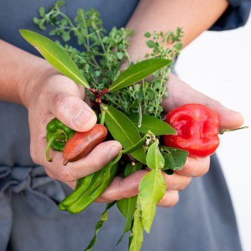 Cooking for Special Diets: A Comprehensive Guide